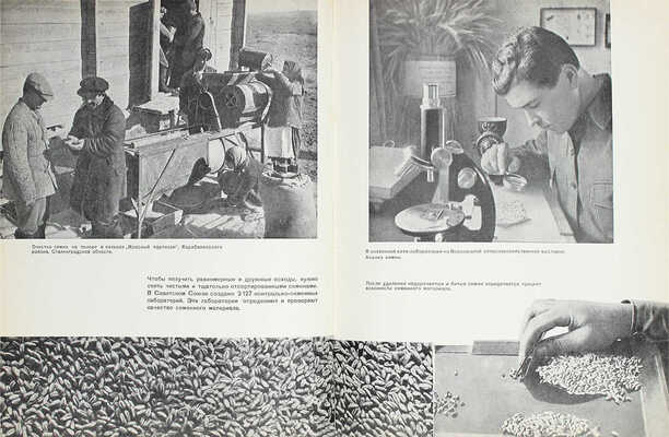 Зерновое хозяйство. [Фотоальбом] / Сост. А.Е. Иванов, Г.Д. Каплан, Е.А. Коган, Е.И. Ляшенко; худож. оформ. Н.А. Шишловского. М.: ОГИЗ «Сельхозгиз», 1940.